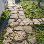 при приятели نيسيبار