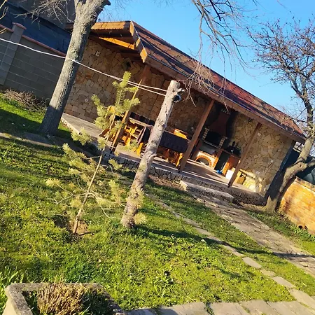 при приятели *