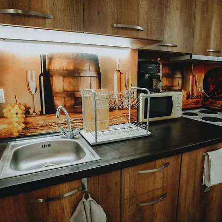 при приятели Holiday home